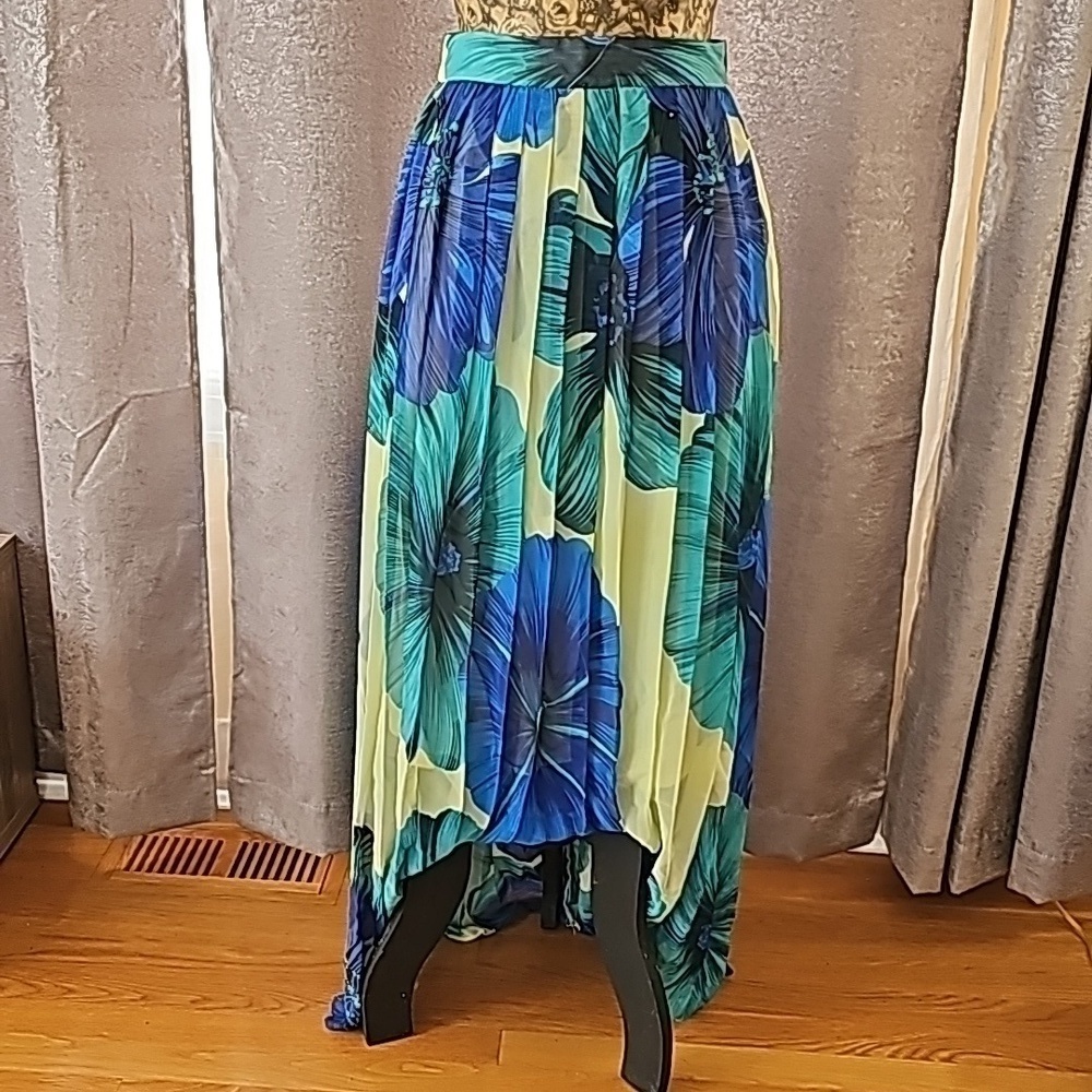 NWT Eva Franco Anthropologie Pleated Floral Maxi Skirt - Size 4